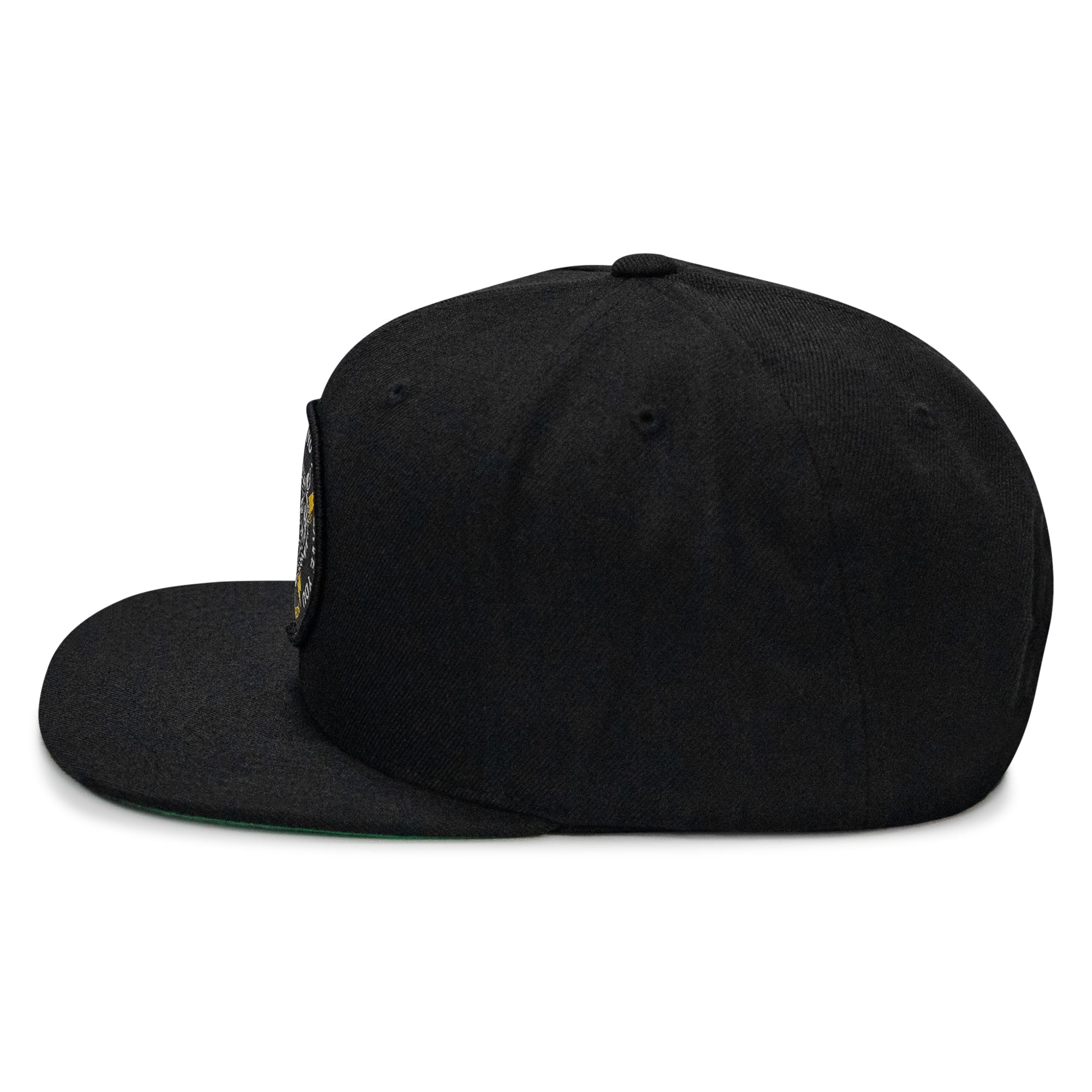 Nobody Is Coming To Save You FlatBill SnapBack Hat