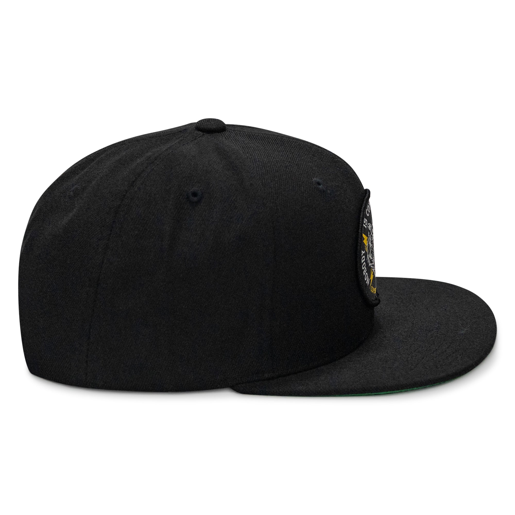 Nobody Is Coming To Save You FlatBill SnapBack Hat